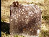 image of grave number 449805